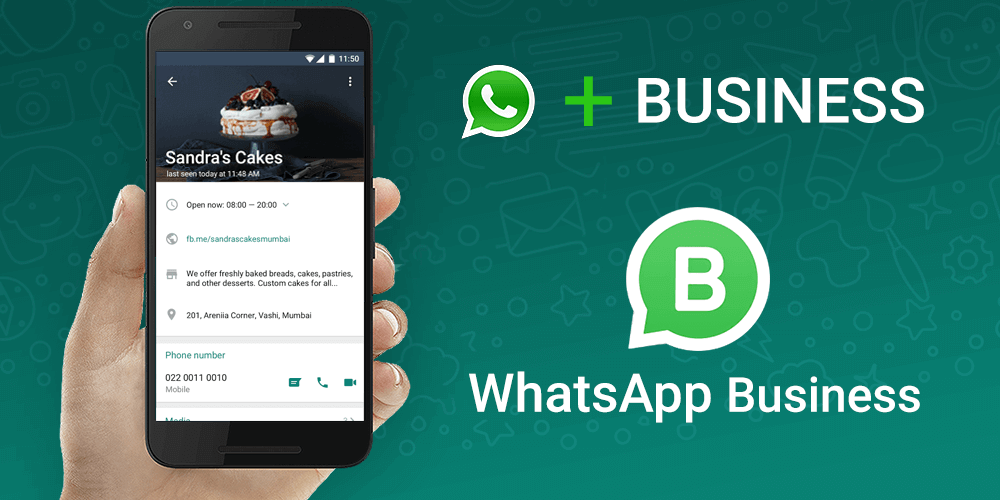 Cover for WhatsApp Business: Primeros pasos